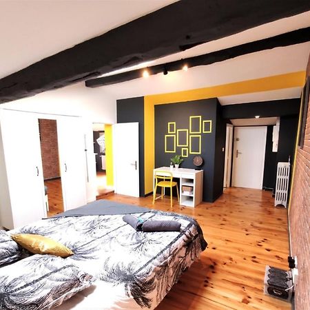 La Terrasse De Jeanne - Vue Magnifique - Netflix Apartment ตูลูส ภายนอก รูปภาพ