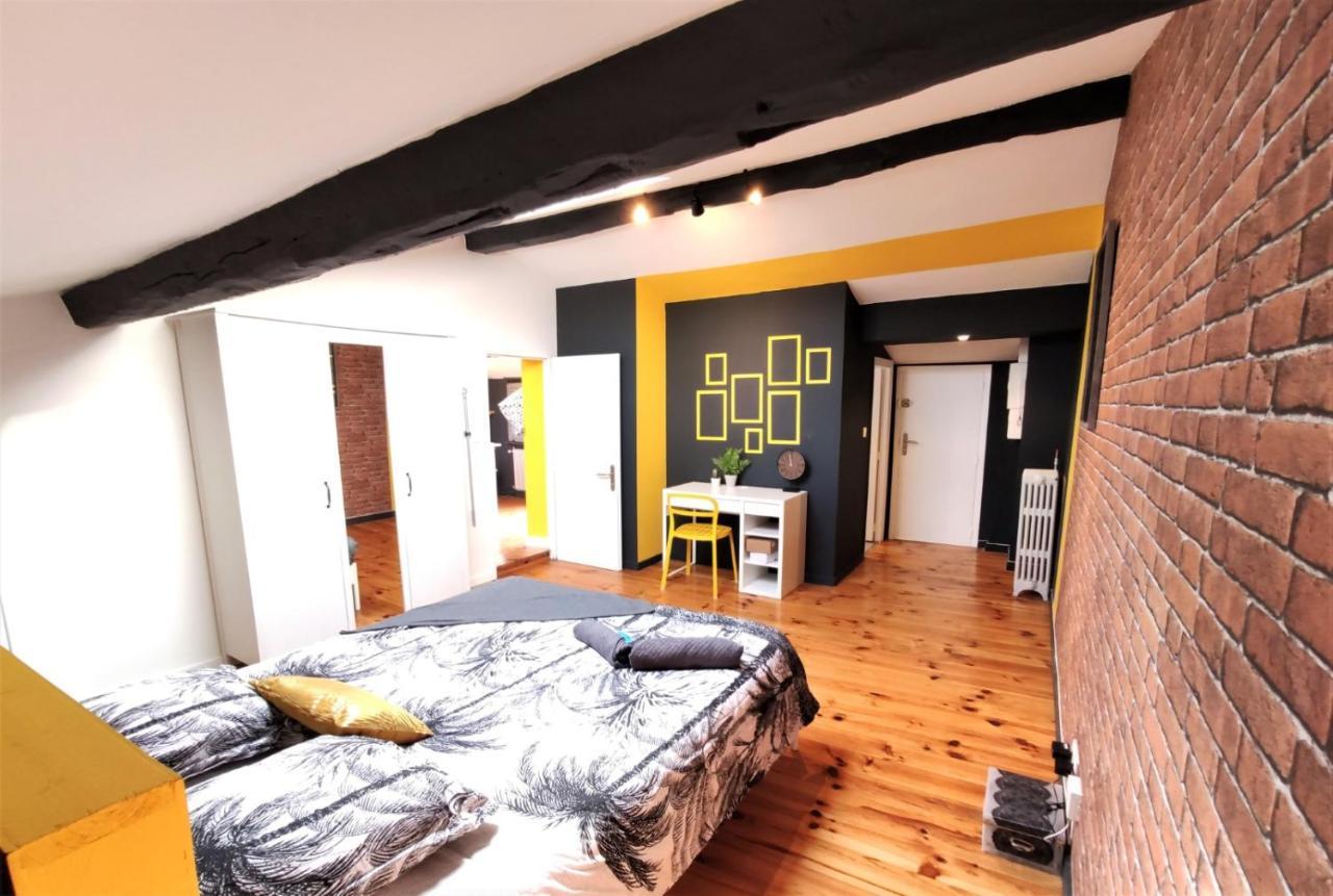 La Terrasse De Jeanne - Vue Magnifique - Netflix Apartment ตูลูส ภายนอก รูปภาพ
