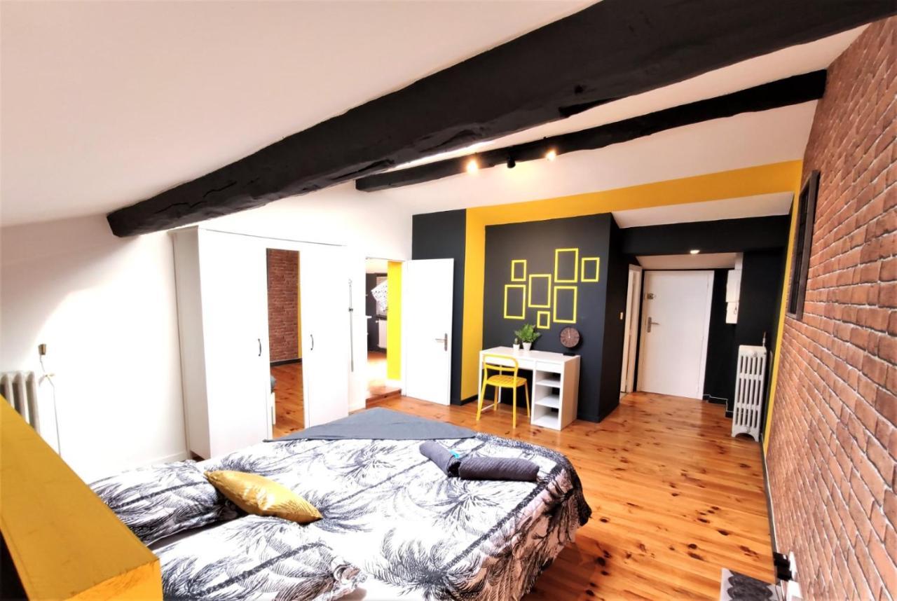 La Terrasse De Jeanne - Vue Magnifique - Netflix Apartment ตูลูส ภายนอก รูปภาพ