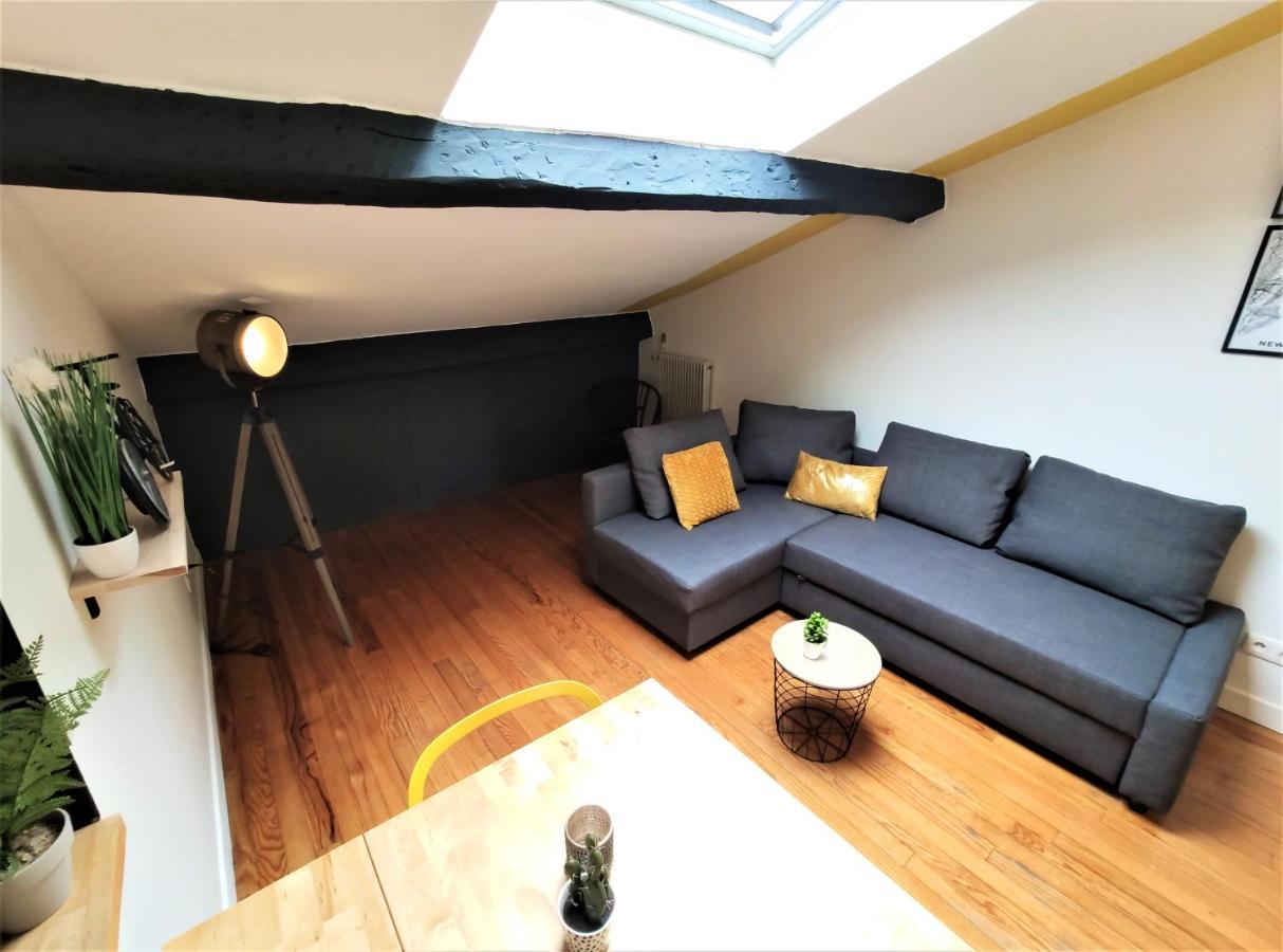 La Terrasse De Jeanne - Vue Magnifique - Netflix Apartment ตูลูส ภายนอก รูปภาพ